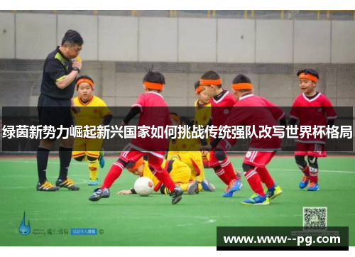 绿茵新势力崛起新兴国家如何挑战传统强队改写世界杯格局
