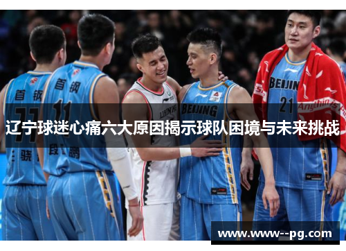 辽宁球迷心痛六大原因揭示球队困境与未来挑战