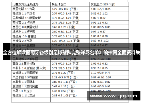 全方位解读葡萄牙各级别足球球队完整详尽名单汇编指南全面资料集