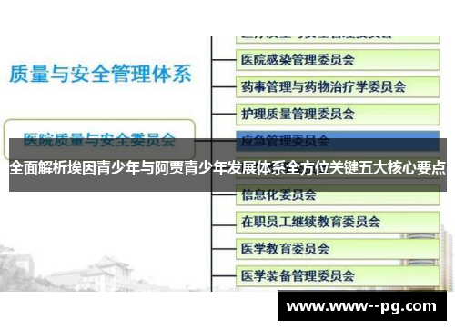 全面解析埃因青少年与阿贾青少年发展体系全方位关键五大核心要点 全面解析埃因青少年与阿贾青少年发展体系全方位关键五大核心要点