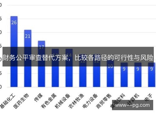 财务公平审查替代方案,比较各路径的可行性与风险 财务公平审查替代方案,比较各路径的可行性与风险